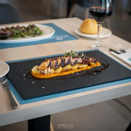 Gran Sol De Extremadura Hotel