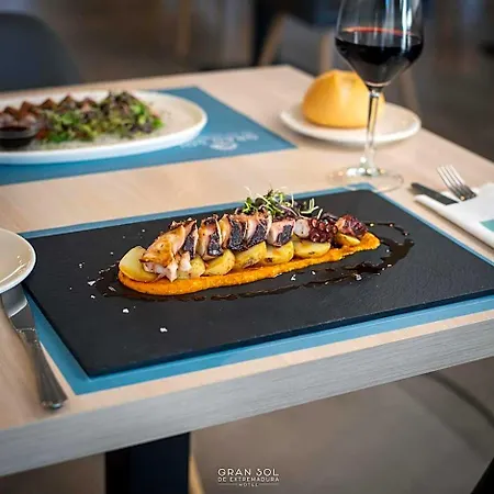 酒店 Gran Sol De Extremadura *