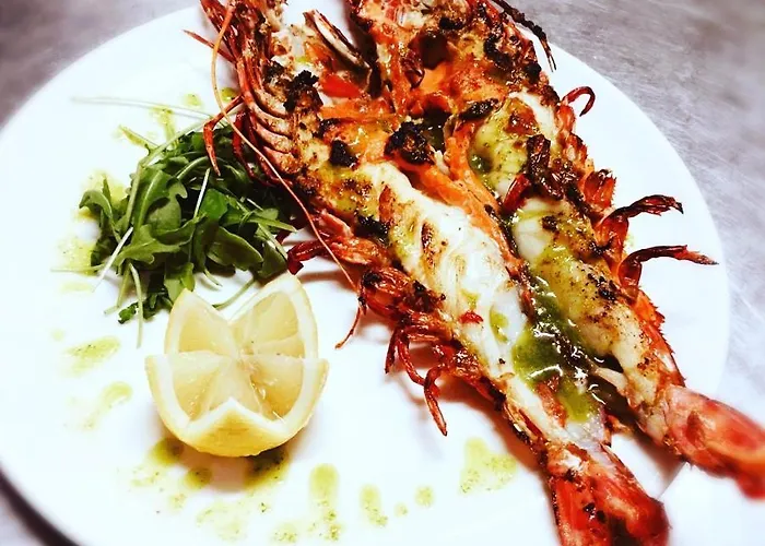 Gran Sol De Extremadura * Montijo